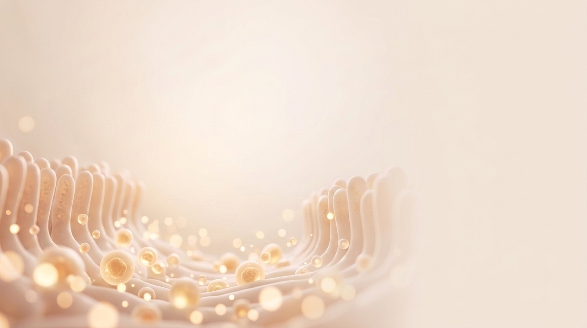 Tributyrin vs Sodium Butyrate: What's the Difference? | The Honest Dose, Vita Bloom Labs