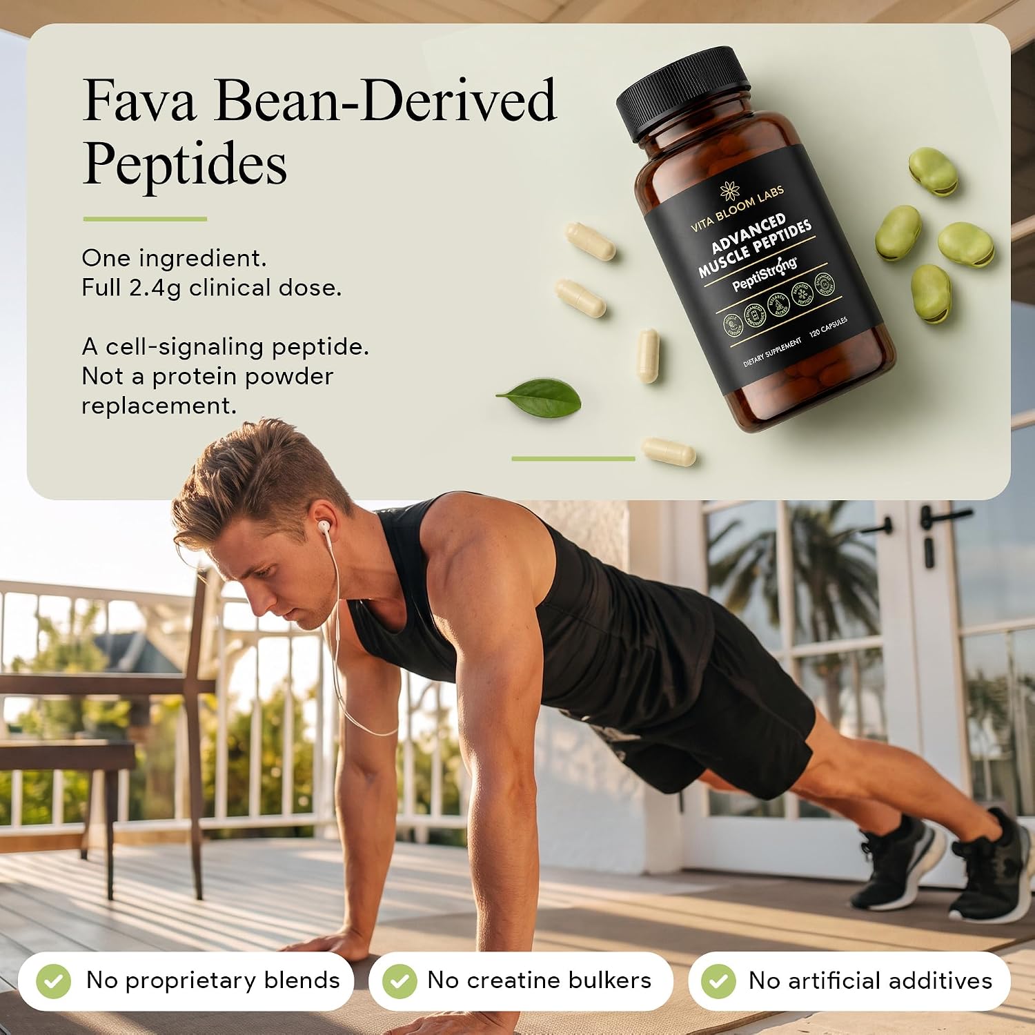 Fava bean-derived peptides, one ingredient at the full 2.4 g clinical dose