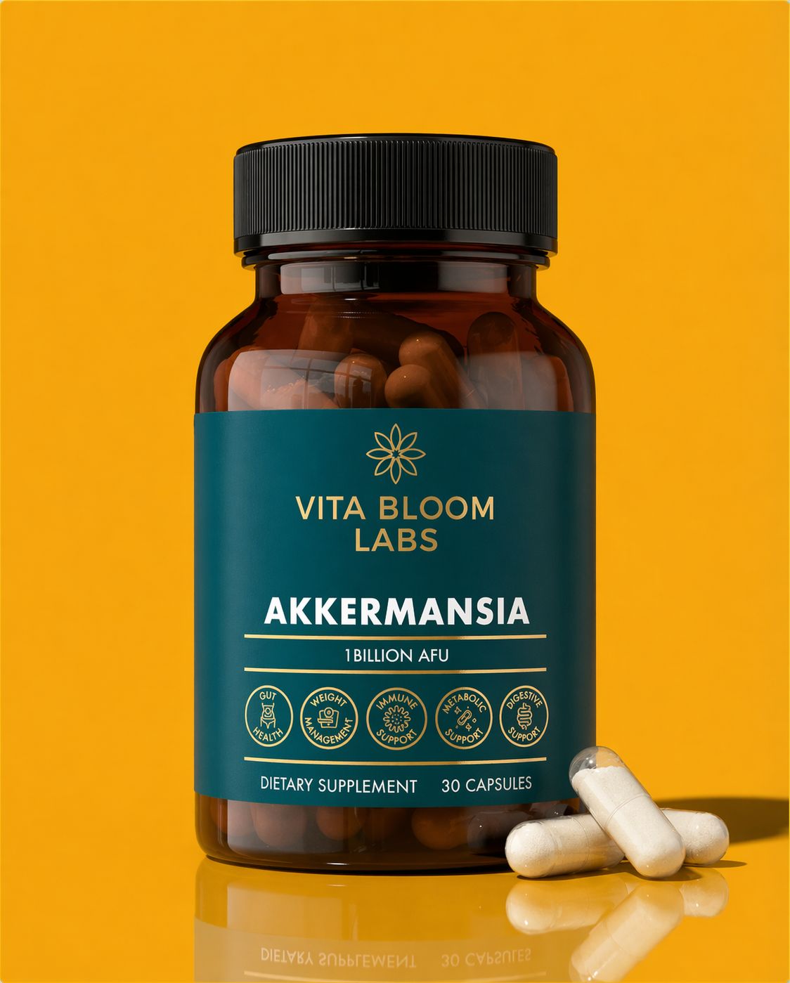Akkermansia Probiotic (Gut & Microbiome)