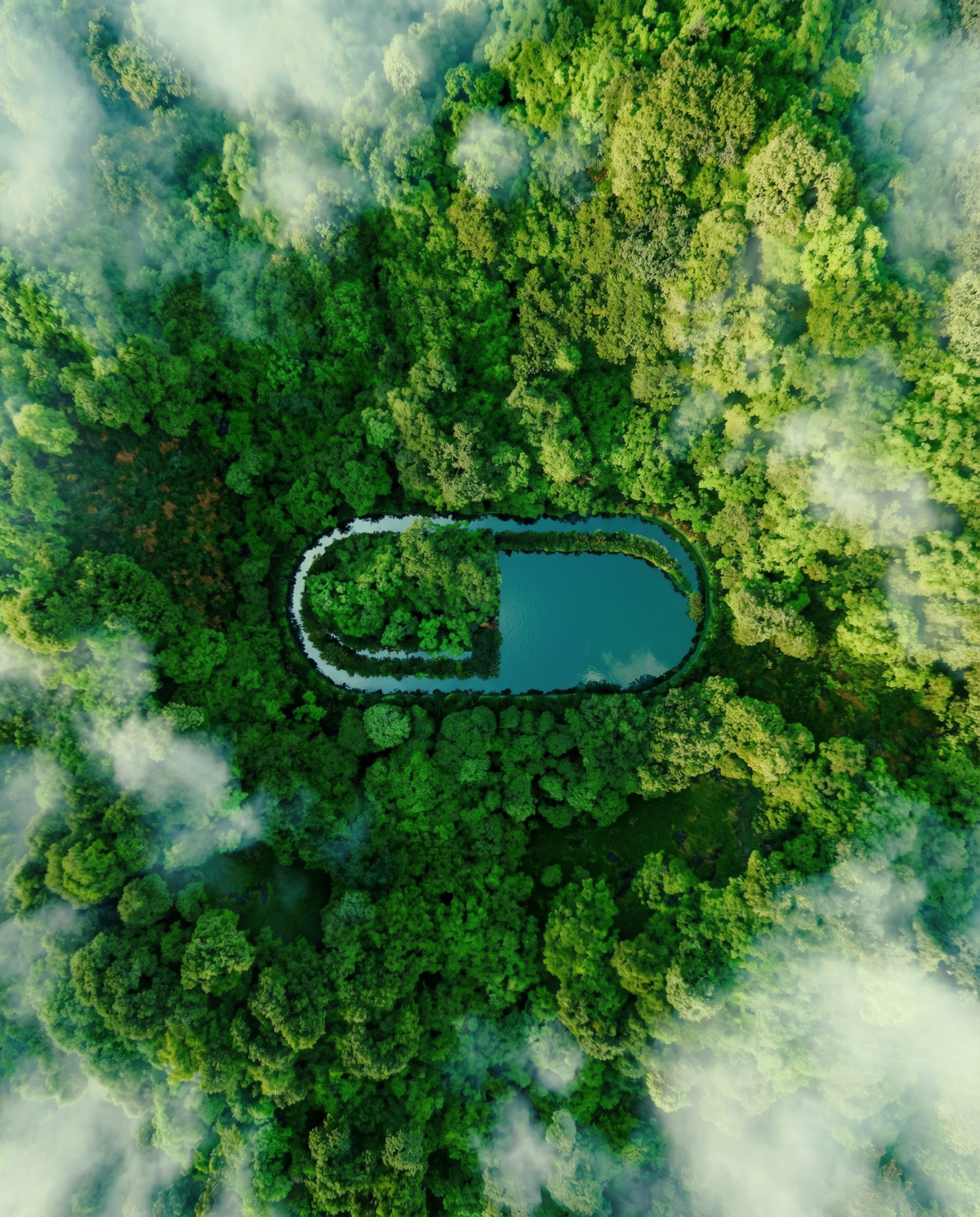 Aerial view of a green forest with a capsule-shaped lake at its center