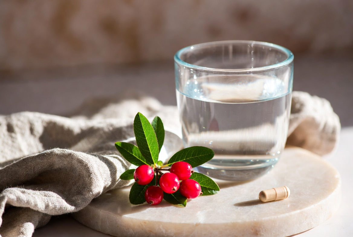 Urinary Tract Health for Women: A Practical Guide | The Honest Dose, Vita Bloom Labs