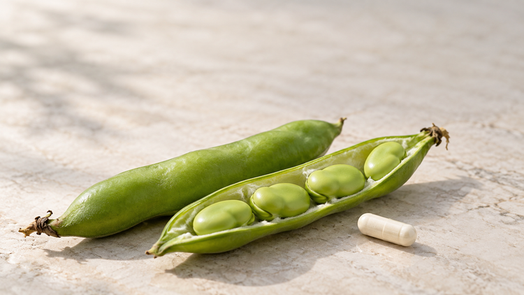 What Is PeptiStrong? The Fava Bean Muscle Peptide, Explained