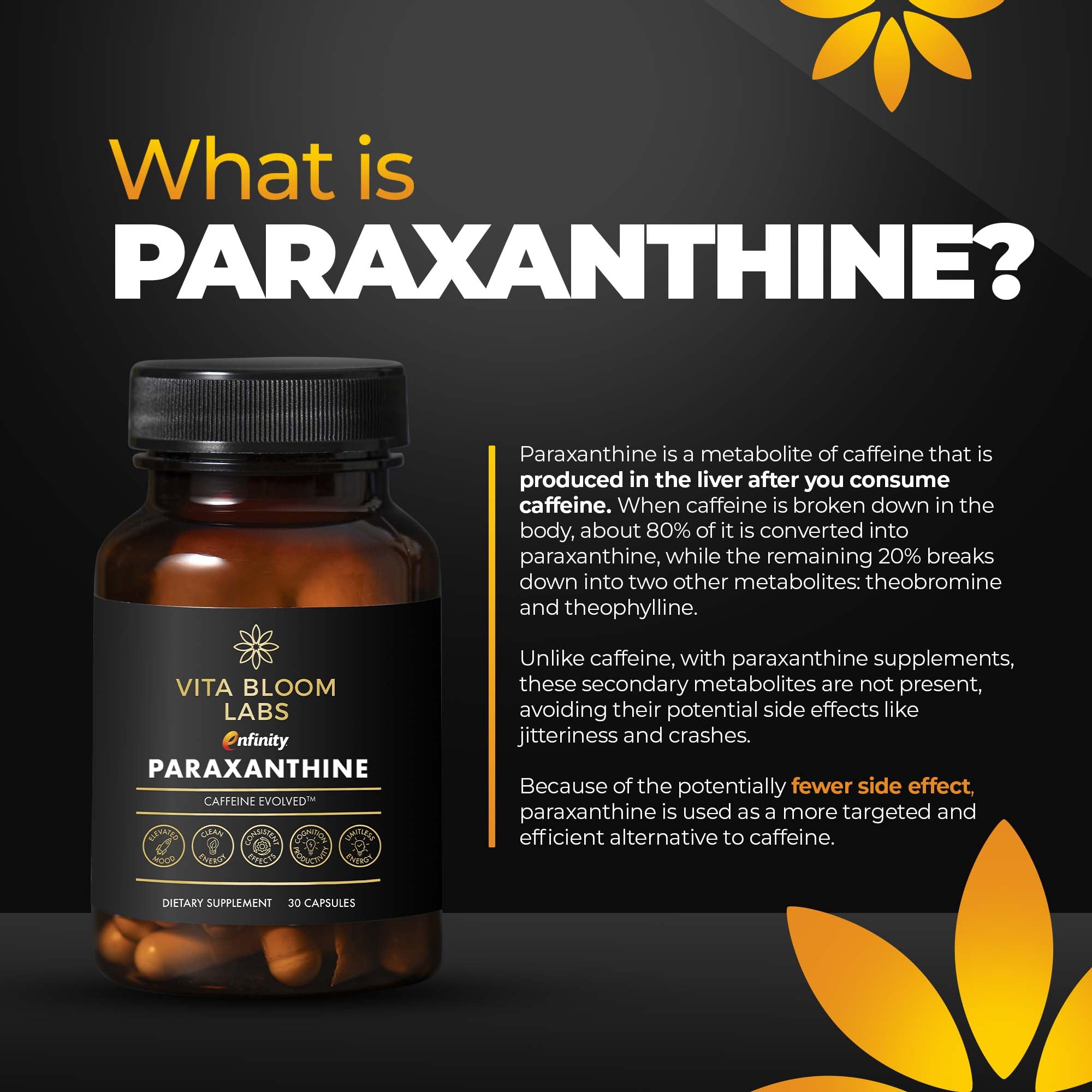 Enfinity Paraxanthine Capsules, Clean Energy & Focus, Caffeine Alternative | 200 mg per Capsule | 30 Capsules per Bottle | Formulated in USA, GMP Certified, Non-GMO, Kosher.