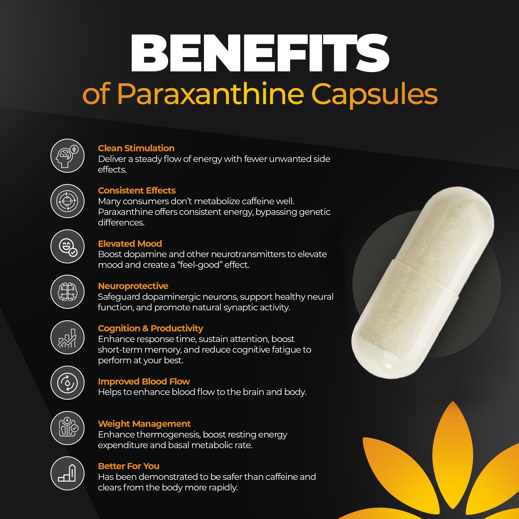 Enfinity Paraxanthine Capsules, Clean Energy & Focus, Caffeine Alternative | 200 mg per Capsule | 30 Capsules per Bottle | Formulated in USA, GMP Certified, Non-GMO, Kosher.