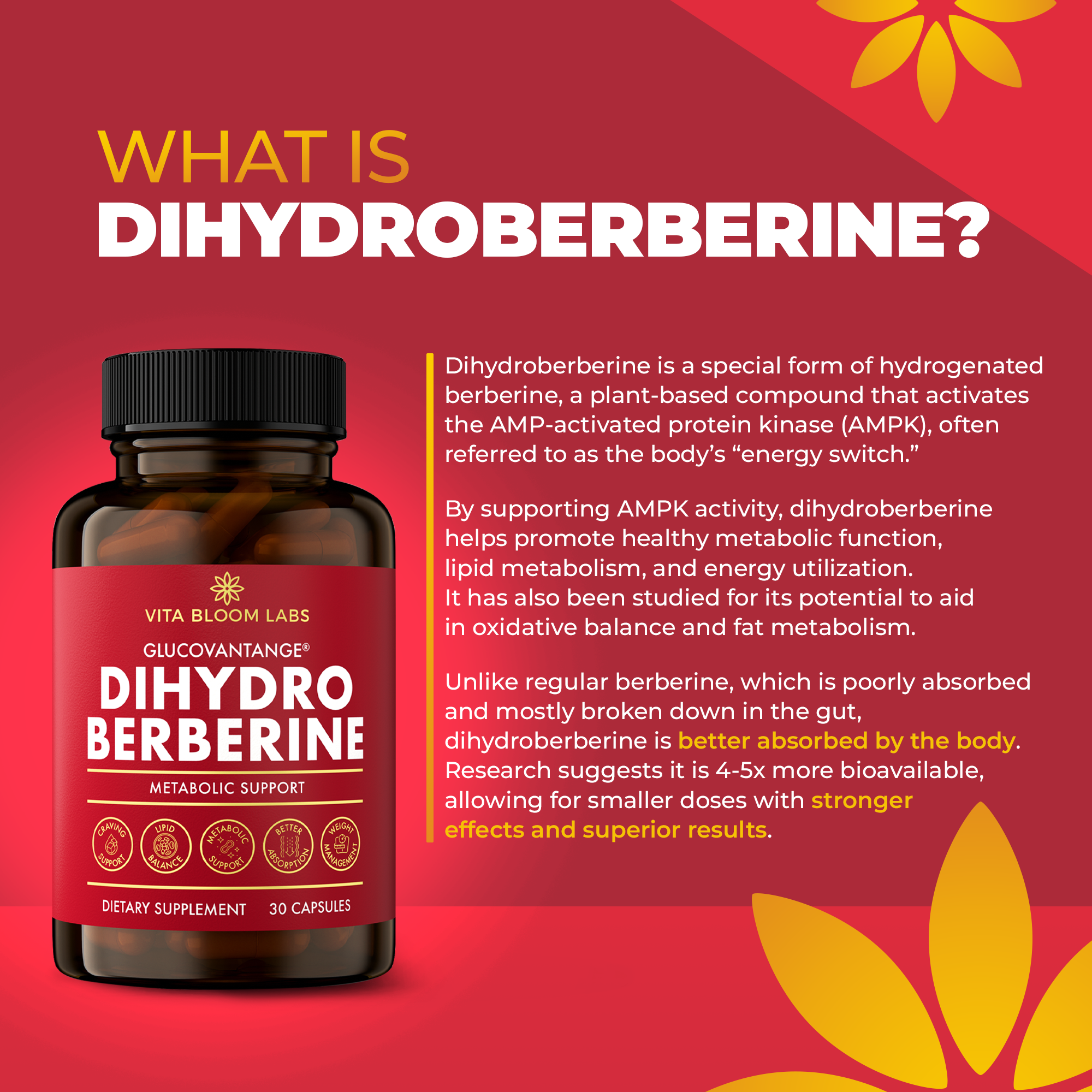 GlucoVantage Dihydroberberine Supplement - Better Delivery & More Effective Than Berberine