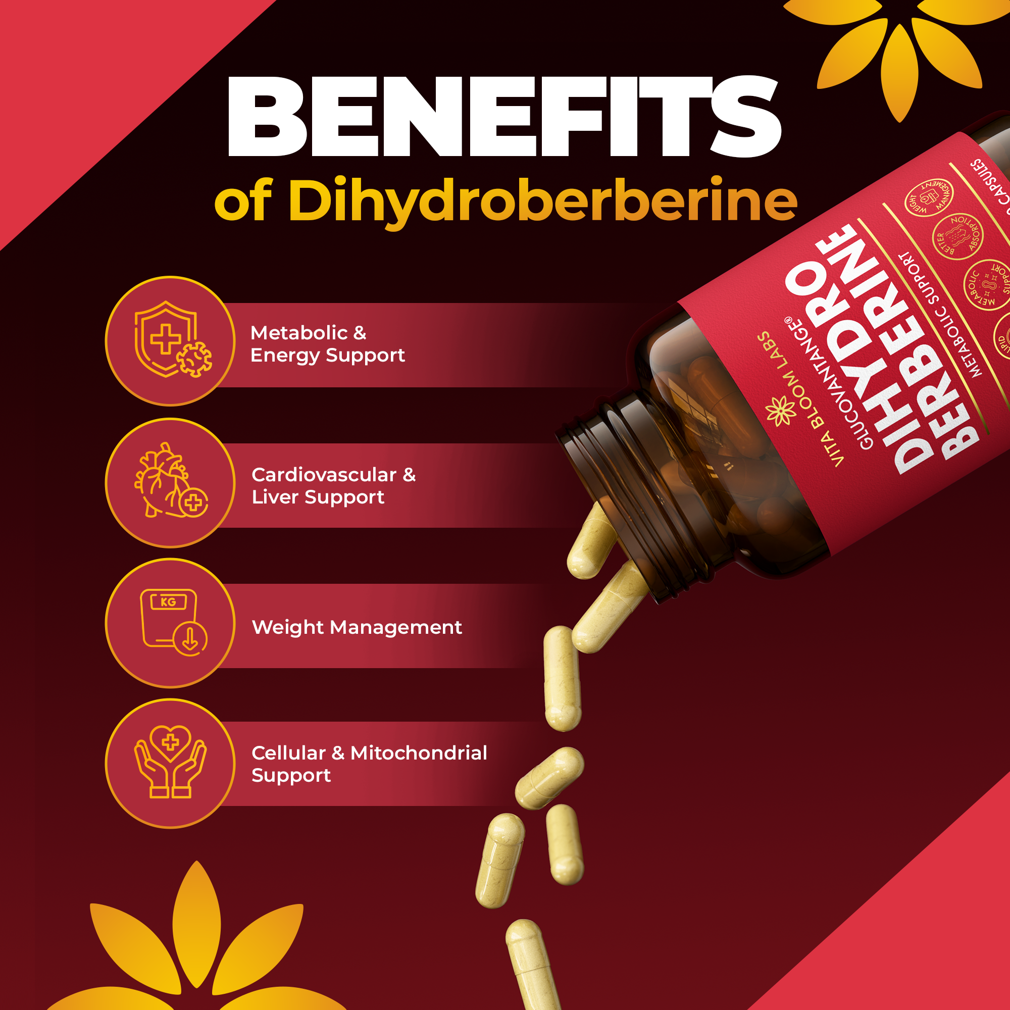 GlucoVantage Dihydroberberine Supplement - Better Delivery & More Effective Than Berberine