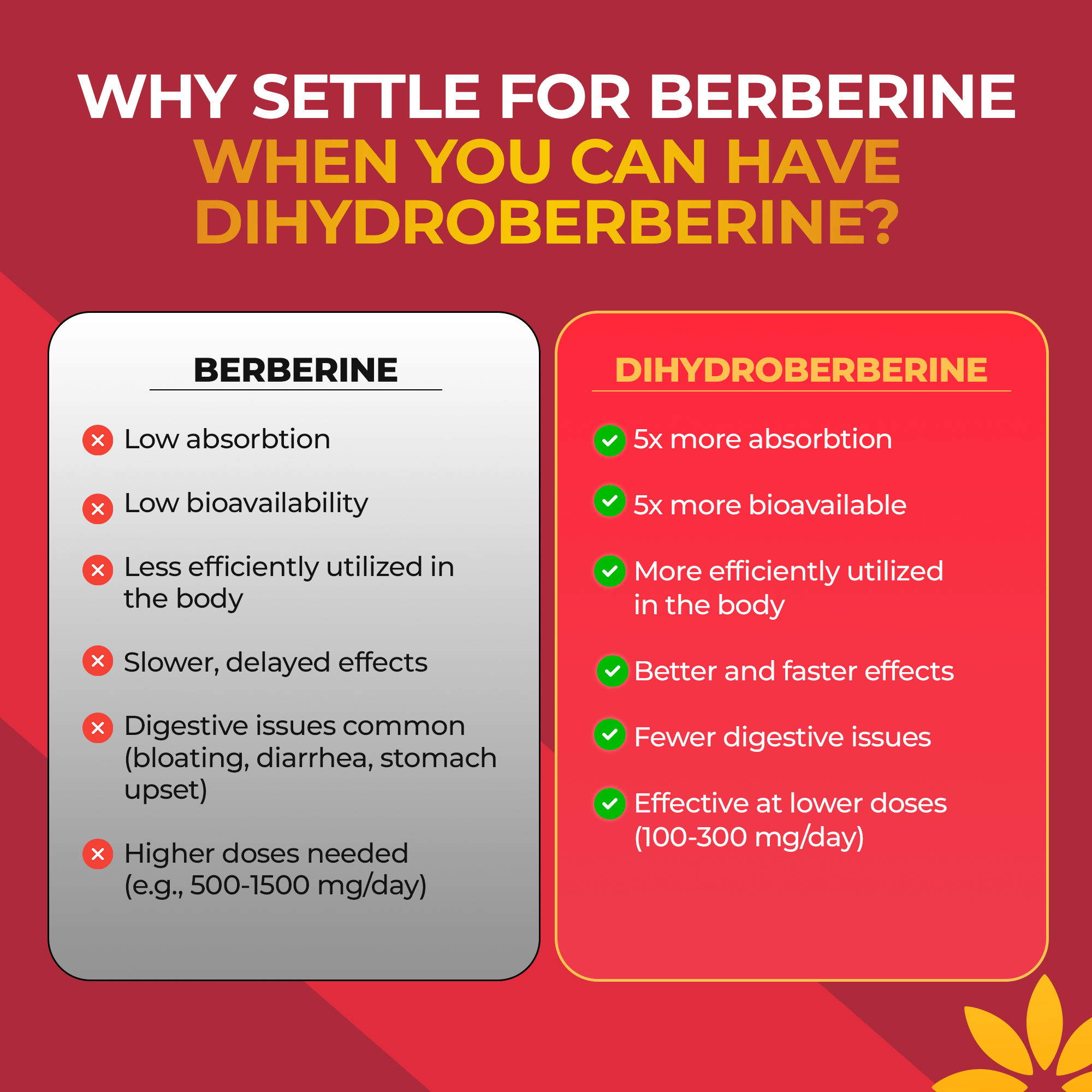 GlucoVantage Dihydroberberine Supplement - Better Delivery & More Effective Than Berberine