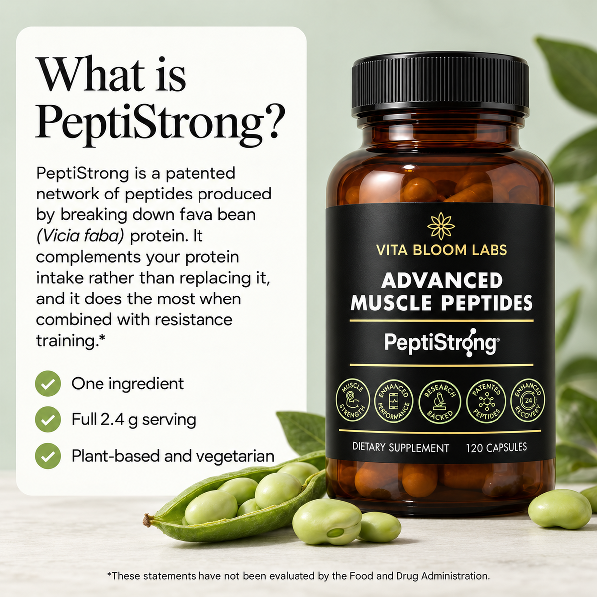 What is PeptiStrong infographic: a patented network of peptides from fava bean protein, one ingredient, full 2.4 g serving, plant-based