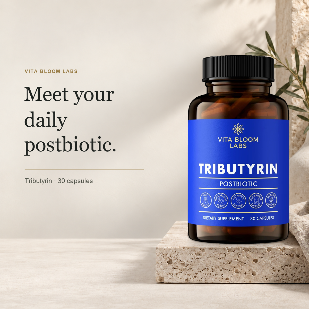Tributyrin bottle on a limestone block beside the words Meet your daily postbiotic.