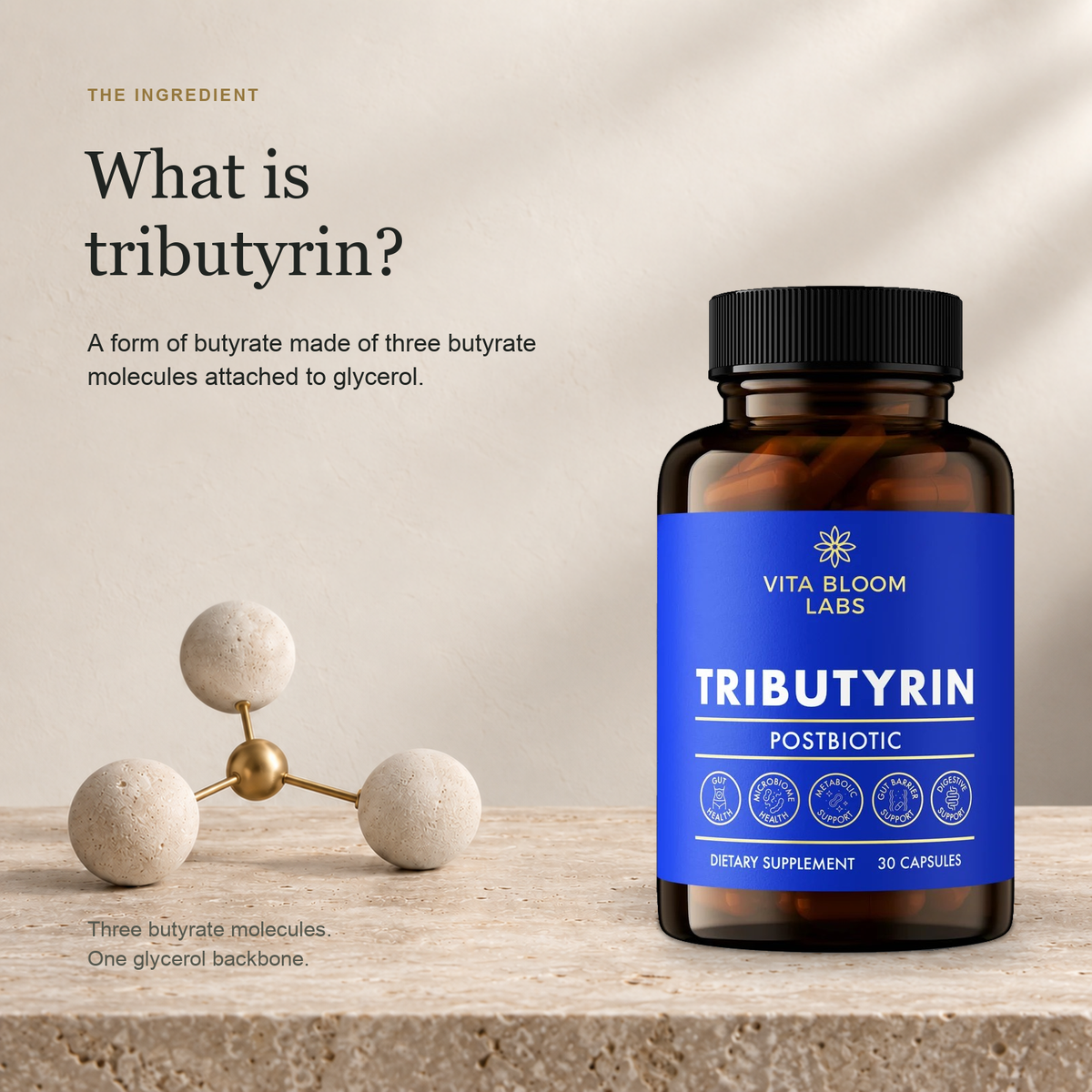 What is tributyrin: a form of butyrate made of three butyrate molecules attached to glycerol, shown beside the Tributyrin bottle.